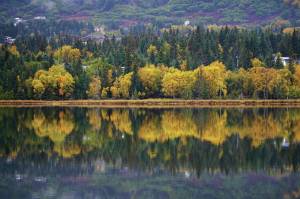 Fall colors are reflected in Beluga Lake on Friday, Sept. 25, 2020, in Homer, Alaska. (Photo by Michael Armstrong/Homer News)