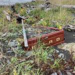 Since being abandoned in 2011 on the Diamond Creek beach near Homer, Alaska, mud and gravel pushed in by storms has almost buried this Ford pickup truck, as seen here on Sunday, Oct. 4, 2020. (Photo by Michael Armstrong/Homer News)