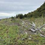 A section of the Diamond Creek beach has built up, with plants growing where 10 years ago there had been bare mud, as seen here on Sunday, Oct. 4, 2020, near Homer, Alaska. (Photo by Michael Armstrong/Homer News)