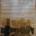 A page in Elissa Pettibones Dye Record book shows the plant and process used to make a dye and samples of the dye on different fabrics, as seen here on Tuesday, Nov. 10, 2020. The book is included in her exhibit, Swatches, showing at Bunnell Street Arts Center in Homer, Alaska. (Photo by Michael Armstrong/Homer News)