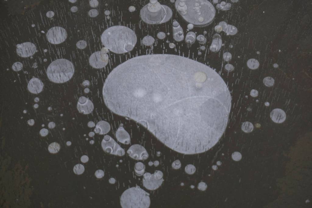 Bubbles from methane gas have frozen in Beluga Lake, creating abstract shapes as seen here on Thursday, Nov. 5, 2020, in Homer, Alaska. (Photo by Michael Armstrong/Homer News)