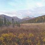 The view looking north toward the pass from just above Juneau Lake. (Photo by Jack Carroll/Kenai National Wildlife Refuge)