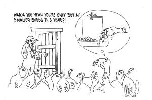 Michael O'Meara's cartoon for Nov. 25, 2020.