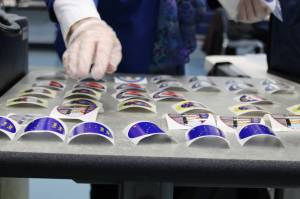 An election official lays out I voted stickers on Tuesday, Nov. 3. Stickers for the 2020 general election featured designs by Alaskan artist Barbara Lavallee. (Ben Hohenstatt / Juneau Empire)