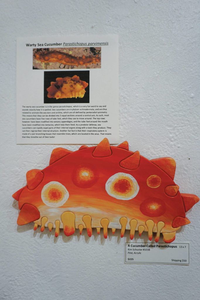 A Cucumber Called Parastichopus is one of the pieces in Kim Schusters exhibit, Science Observed Through Art: Unsung Species, as seen here on Friday, Dec. 4, 2020, at Ptarmigan Arts in Homer, Alaska. (Photo by Michael Armstrong/Homer News)