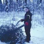 Photo by Matt Conner/USFWS 
Bailey, age 15, harvesting a Christmas tree on Kenai NWR.