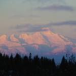 Mount Iliamna glows pink as the sun rises on Wednesday morning, Dec. 16, 2020, as seen from Diamond Ridge near Homer, Alaska. Iliamna is one of three Cook Inlet volcanoes visible from Homer. (Photo by Michael Armstrong/Homer News)