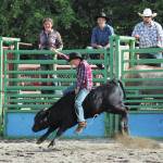 Zephan Jones, of the Homer area, takes a turn riding a bull calf during the 60th annual Ninilchik Rodeo on Saturday, July 4, 2020 at the Kenai Peninsula Fairgrounds in Ninilchik, Alaska. The rodeo lasted throughout the July Fourth holiday and celebrated a return to the events roots. (Photo by Megan Pacer/Homer News)