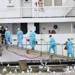 Staff from South Peninsula Hospital and Homer Public Health board the M/V Tustumena to test 35 crew members and six passengers Monday, June 8, 2020 at the Homer Ferry Terminal in Homer, Alaska. (Photo by Megan Pacer/Homer News)