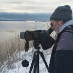 Tim Quinn looks for birds in Kachemak Bay during the Christmas Bird Count on Saturday, Dec. 19, 2020, in Homer, Alaska. (Photo by Jim Herbert)