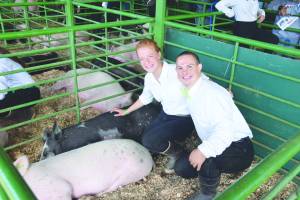 Bailey Epperheimer and Judah Johnston pose with Epperheimers pigs, Maui and Chancho, at the Kenai Peninsula Fair on Saturday, Aug. 17, 2019 at the fairgrounds in Ninilchik, Alaska. (Photo by Brian Mazurek/Peninsula Clarion)