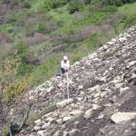 Photo by Matt Bowser/USFWS 
Biological intern Annaleese Rasanen surveys severely burned alpine shrub tundra within the Swan Lake Fire burn July 27, 2020.