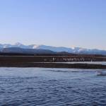 A day on Kachemak Bay. (Ashlyn OHara/Peninsula Clarion)