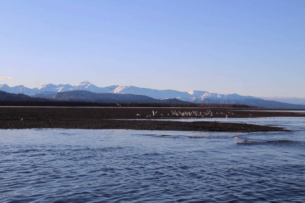 A day on Kachemak Bay. (Ashlyn OHara/Peninsula Clarion)