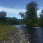 This undated photo shows a section of Deep Creek near Ninilchik, Alalska recently acquired by the Alaska Department of Fish and Game with the assistance of the Kachemak Heritage Land Trust to protect hunting and fishing in the area. (Photo courtesy of Kachemak Heritage Land Trust)