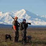 Dwarfed by the majestic and formidable Alaska Range, Michelle and Reed Quinton hunt sharptailed grouse with their dogs Bristol and Sage. (Photo courtesy Mike Chihuly)