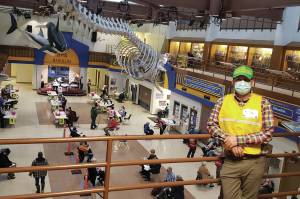 City of Homer Recreation Manager Mike Illg, who is in the planning section of Homer's Unified Command Mass Vaccination PODs, stands on the upper level of Homer High School overlooking the Commons during a vaccine clinic on Friday, March 5, 2021 in Homer, Alaska. Providing more than 500 doses of the COVID-19 vaccine to local residents, it was the Unified Command's largest mass clinic to date. (Photo courtesy Derotha Ferraro/South Peninsula Hospital)