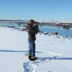 Kenya Pace looks for beluga whales on March 3, 2021, along the Kenai River near Kenai, Alaska. (Photo by Teresa Becher)