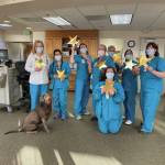 Long Term Care staff celebrate receiving the five-star rating from the Centers for Medicare & Medicaid Services on Feb. 19, 2021, at South Peninsula Hospital in Homer, Alaska. From left to right are Cathy Myers, Director of Nursing; Bella the dog, Nanet Minke, Certified Nursing Assistant; Nicole McKinney,CNA; Bonnie Betley, Registered Nurse; Susan Hubbard, CNA, Ana Jones, CNA; Leone Morra RN; and Melissa Dunkle CNA, in the front kneeling. (Photo courtesy South Peninsula Hospital)
