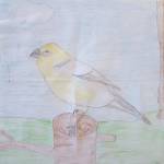 Sabre Wilmeths art in the Jubilee Youth Art Show at the Homer Counicl on the Arts. (Photo courtesy Homer Council on the Arts)