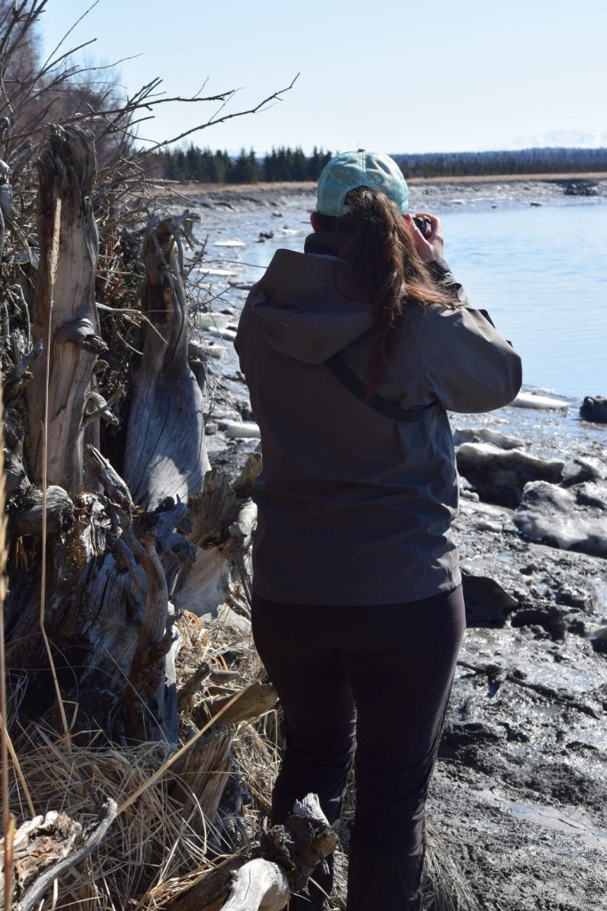 Madison Kosma watches as beluga whales swim up the Kenai River at Cunningham Park on Saturday, April 24, 2021. (Photo by Camille Botello/Peninsula Clarion)