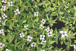 Gail Priday's paintings are on view starting Friday, May 7, 2021, at Bunnell Street Arts Center in Homer, Alaska. (Photo courtesy of Bunnell Street Arts Center)