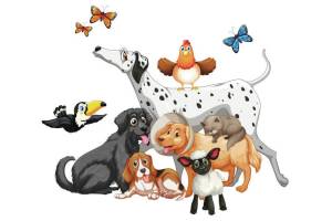 A poster for National Pet Month. (Courtesy photo by Alaska Mindful Paws)