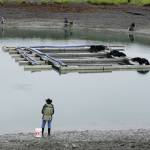 Anglers try their luck at the Nick Dudiak Fishing Lagoon on Saturday, May 29, 2021, on the Homer Spit in Homer, Alaska. The floating pen is for hatchery fish to imprint on the lagoon before being released into Kachemak Bay. (Photo by Michael Armstrong/Homer News0