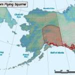 Range (shown in red) of the northern flying squirrel in Alaska. (Source: Alaska Fish and Game)