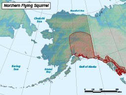 Range (shown in red) of the northern flying squirrel in Alaska. (Source: Alaska Fish and Game)