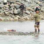 A fisherman catches a salmon in the Nick Dudiak Fishing Lagoon before the tide washed in on June 25. (Photo by Sarah Knapp/Homer News)