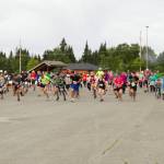 More than 140 runners participated in the 10K to the Bay run on Saturday, June 26. The race began at Homer High School and finished at Land's End on the Spit. (Photo by Sarah Knapp/Homer News)