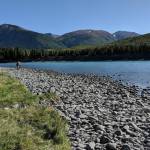 Clarion file photo
A fisherman walks along the Kenai River near Sportsmans Landing in Cooper Landing, Alaska.