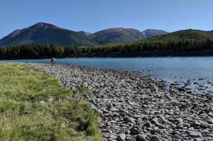 Clarion file photo
A fisherman walks along the Kenai River near Sportsmans Landing in Cooper Landing, Alaska.