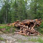 Logs are stacked near the Central Peninsula Landfill on Thursday, July 1, 2021 near Soldotna, Alaska. (Ashlyn OHara/Peninsula Clarion)
