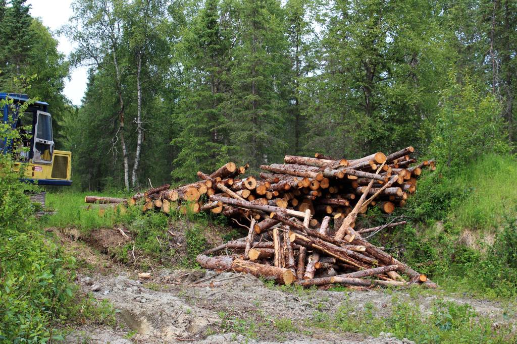 Logs are stacked near the Central Peninsula Landfill on Thursday, July 1, 2021 near Soldotna, Alaska. (Ashlyn OHara/Peninsula Clarion)