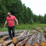 Walt Blauvelt stands on logs near the Central Peninsula Landfill on Thursday, July 1, 2021 near Soldotna, Alaska. (Ashlyn OHara/Peninsula Clarion)