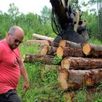 Walt Blauvelt stands by logs near the Central Peninsula Landfill on Thursday, July 1, 2021 near Soldotna, Alaska. (Ashlyn OHara/Peninsula Clarion)