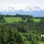 The Kenai Mountains can be seen from the Homestead Trail on Diamond Ridge, as seen Sunday, July 11, 2021, near Homer, Alaska. (Photo by Michael Armstrong/Homer News)