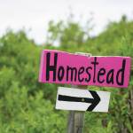 A sign points the way on the Homestead Trail on Diamond Ridge, as seen Sunday, July 11, 2021, near Homer, Alaska. (Photo by Michael Armstrong/Homer News)
