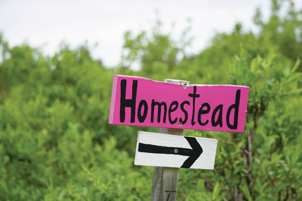 A sign points the way on the Homestead Trail on Diamond Ridge, as seen Sunday, July 11, 2021, near Homer, Alaska. (Photo by Michael Armstrong/Homer News)