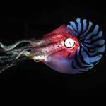 Brad Hughes' "Nautilus" is made from recycle plastic and other materials. It's part of his show opening Friday, Aug. 6, 2021, at the Homer Council on the Arts in Homer, Alaska. (Photo provided)