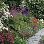 "Better late than never," the Kachemak Gardener said of the late-summer plants blooming in her garden in Homer. (Photo by Rosemary Fitzpatrick).