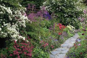 "Better late than never," the Kachemak Gardener said of the late-summer plants blooming in her garden in Homer. (Photo by Rosemary Fitzpatrick).