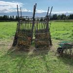 "Reimagine," the 17th annual Burning Basket, catches fire in a field on Sunday, Sept. 13, 2020, near Homer, Alaska. Artist Mavis Muller intended to broadcast live on Facebook and YouTube the burning of the basket, but because of technical difficulties that didnt happen. "Burning Basket teaches how to let go of expectations and accept the present moment," Muller wrote in a text message. "Technology is fickle. The basket, however, did exactly what it promised to do. It helod our collective burderns, our memorials, our joys, sadness, fear, and dispersed all of our good intentions in a plume of smoke, sparks and flames." (Photo by Michael Armstrong/Homer News)