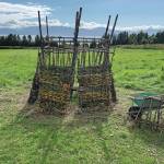 Photo courtesy of Mavis Muller 
Walls of the 18th annual Burning Basket, Recover, rest against the basket frame during construction on Monday, Sept. 6, at Mavis Mullers property near Homer. The basket is built in sections so it can be disassembled and transported to Mariner Park on the Homer Spit, where it will be burned at sundown on Sunday, Sept. 12.