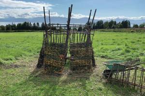 Walls of the 18th annual Burning Basket, Recover, rest against the basket frame during construction on Monday, Sept. 6, 2021, at Mavis Muller's property near Homer, Alaska. The basket is built in sections so it can be disassembled and transported to Mariner Park on the Homer Spit, where it will be burned at sundown on Sunday, Sept. 12, 2021. (Photo courtesy of Mavis Muller)