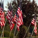 The Homer-Kachemak Bay Rotary and American Legion Post 16 placed flags in honor of the 2,996 people killed in the four terrorist attacks on Sept. 11, 2001, and the 13 service members killed in Afghanistan on Aug. 26, 2021. (Photo by Sarah Knapp/Homer News)