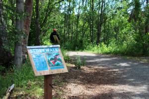 Ashlyn OHara/Peninsula Clarion
A podium marks the beginning of a StoryWalk at Soldotna Creek Park on Tuesday, June 29, 2021 in Soldotna, Alaska. The project was discontinued in August due to vandalism.