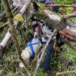 Kathy Sarns leads Thunder under a fallen tree while bringing him home after he went missing seven days earlier. ((Photos by Donna Faulkner, Elise Nacht Boyer and Janet Fink)